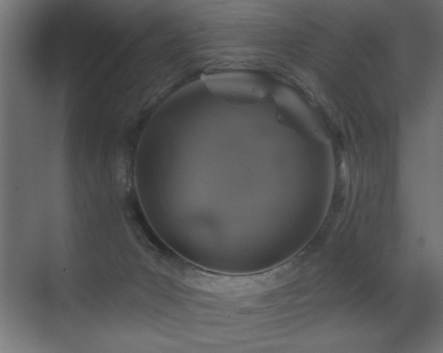 X0000071340031200606231150