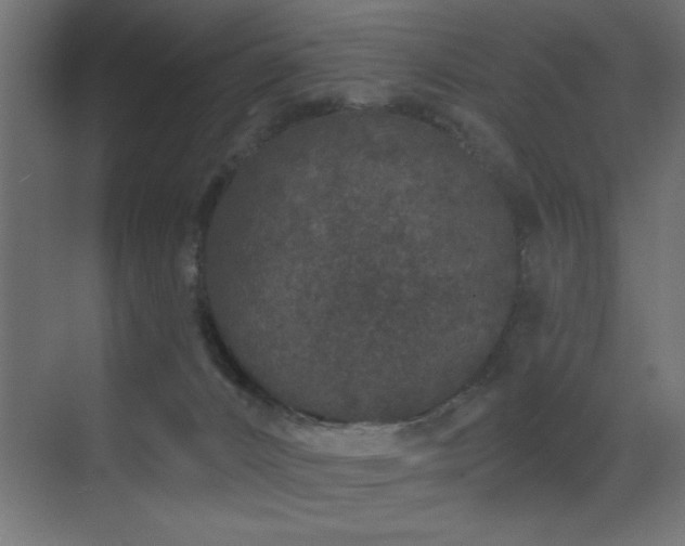 X0000071340032200606231150