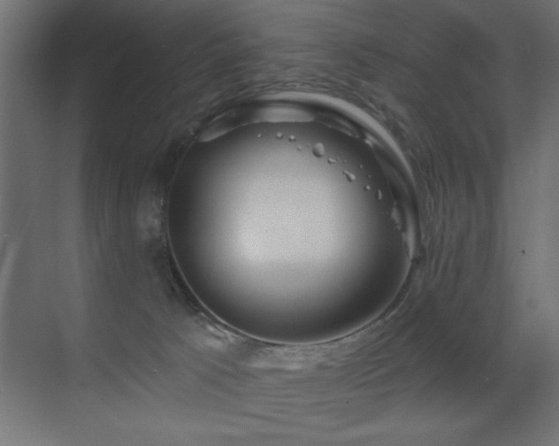 X0000071340033200606231150