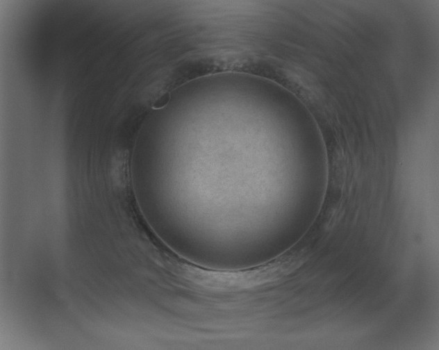 X0000071340034200606231150