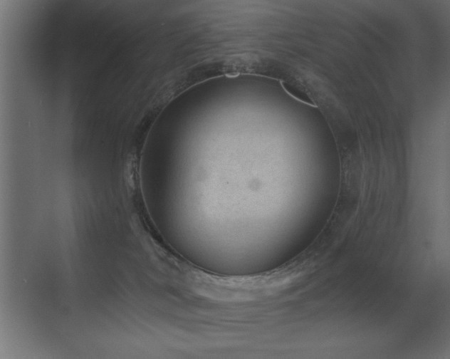 X0000071340038200606231149