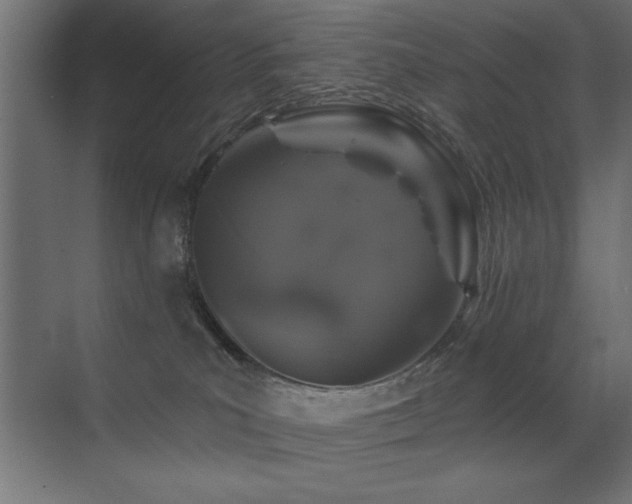 X0000071340039200606231149