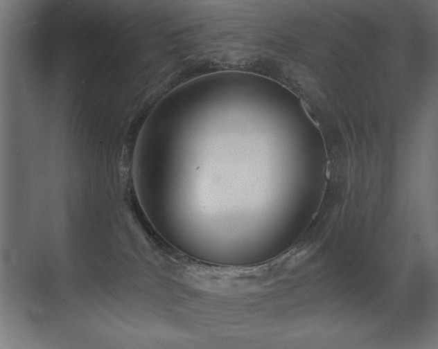X0000071340040200606231149