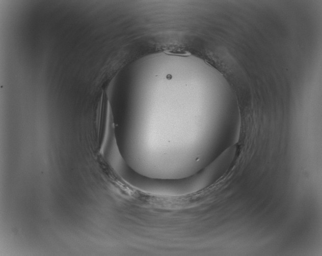 X0000071340041200606231149