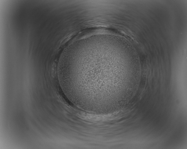 X0000071340043200606231149