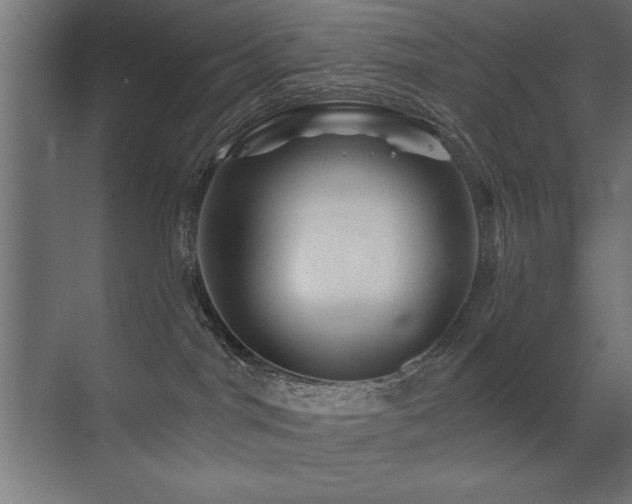 X0000071340044200606231149