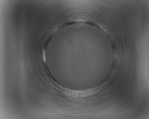 X0000071340046200606231149