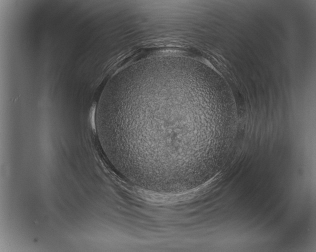 X0000071340047200606231149