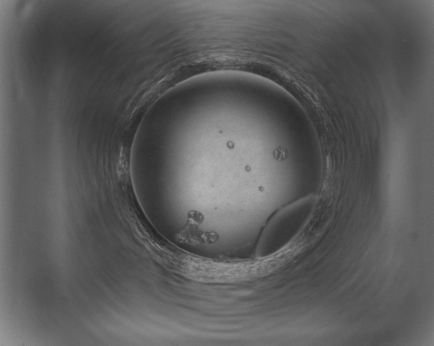 X0000071340048200606231149