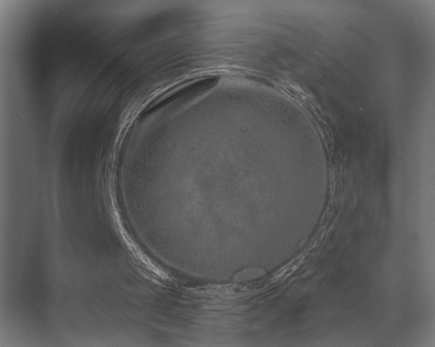 X0000071340049200606231148