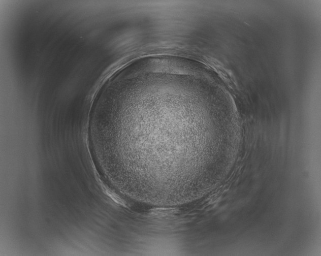 X0000071340051200606231148