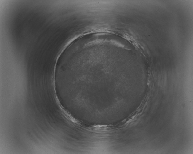 X0000071340052200606231149