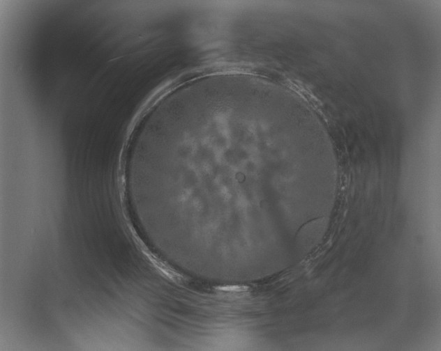 X0000071340053200606231149