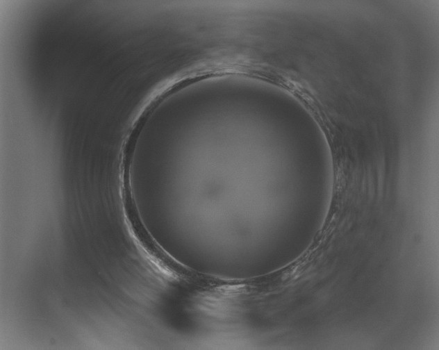 X0000071340054200606231149