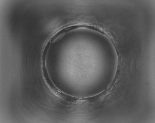 X0000071340055200606231149