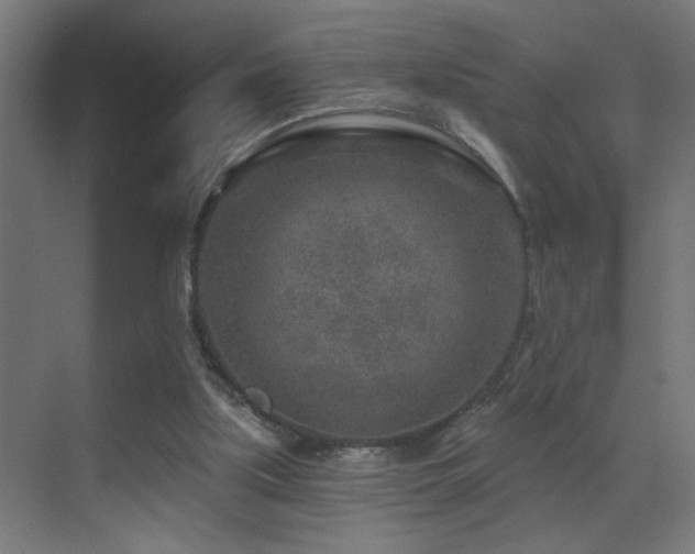 X0000071340059200606231149