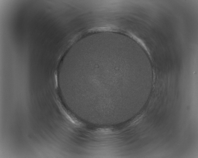 X0000071340061200606231149