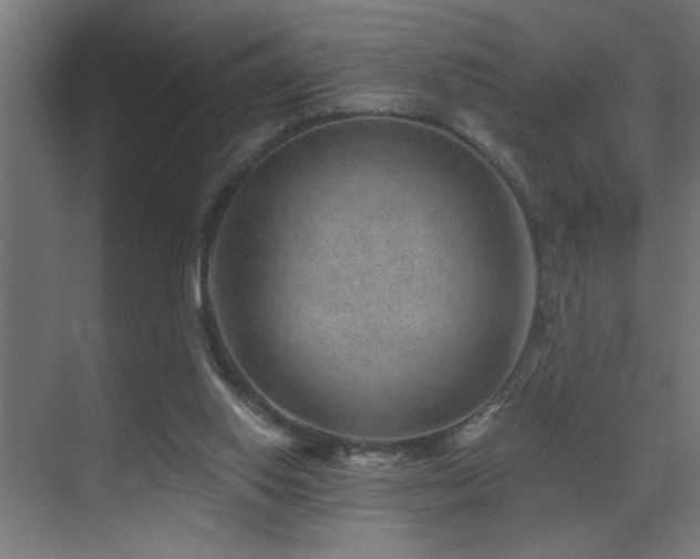 X0000071340062200606231149