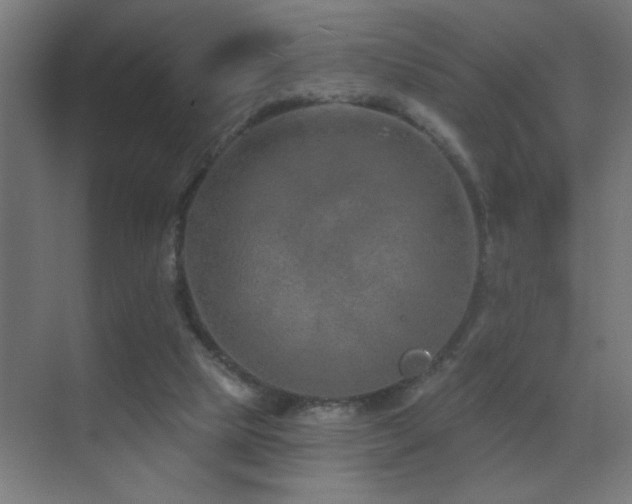 X0000071340065200606231149