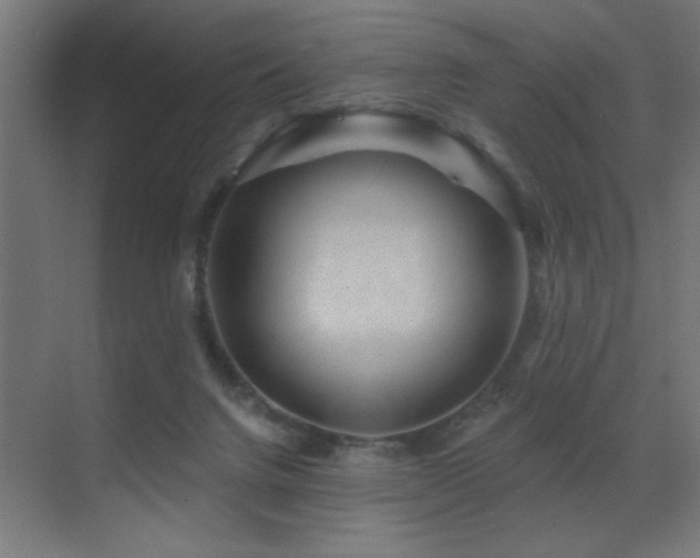 X0000071340072200606231149