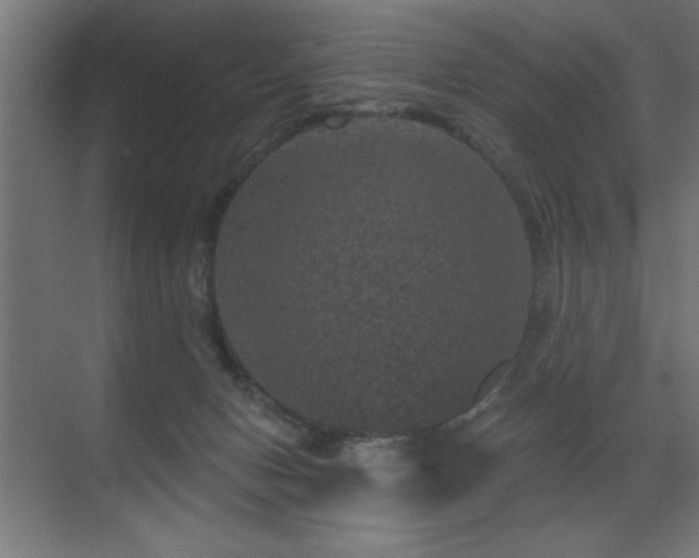 X0000071340078200606231149