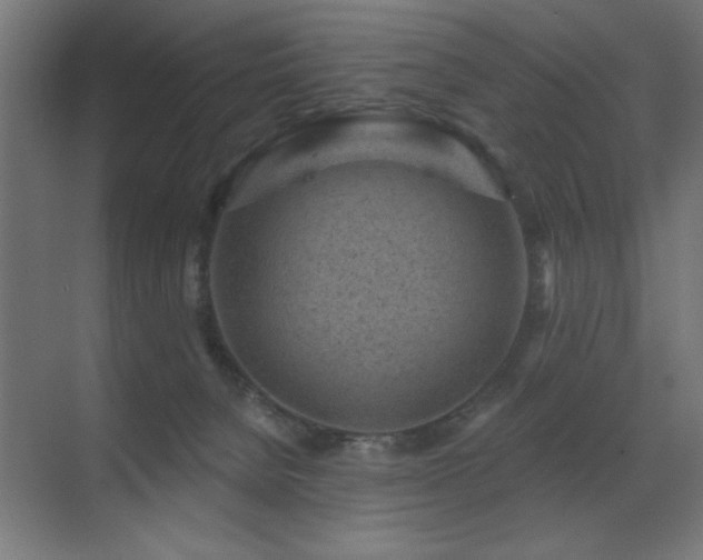 X0000071340080200606231149