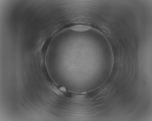 X0000071340081200606231149