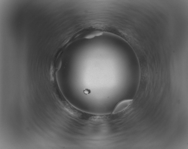 X0000071340082200606231149