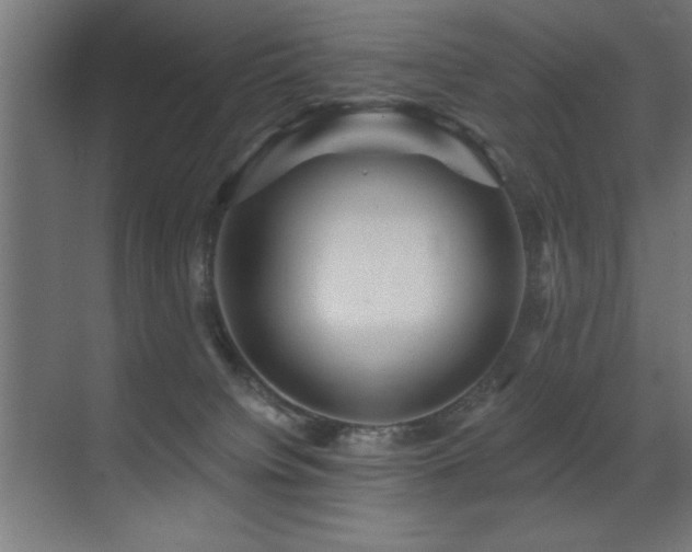 X0000071340084200606231149