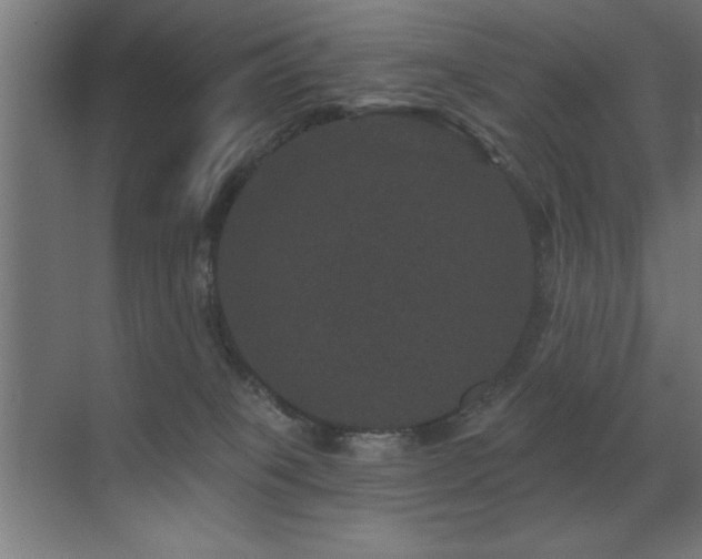 X0000071340085200606231149