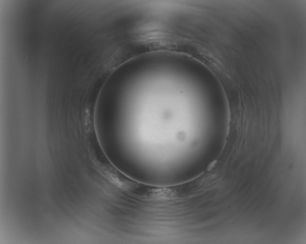 X0000071340087200606231149