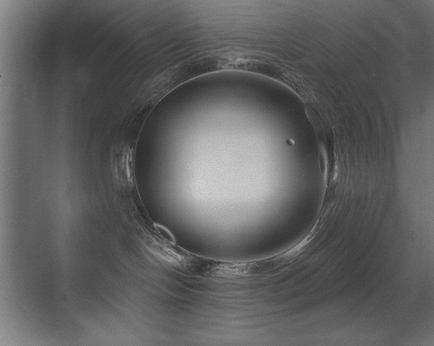 X0000071340094200606231149