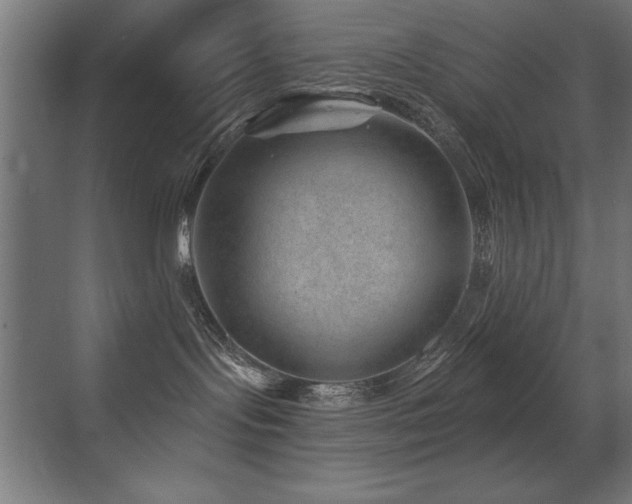 X0000071340095200606231149