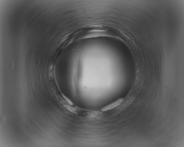 X0000071340096200606231149