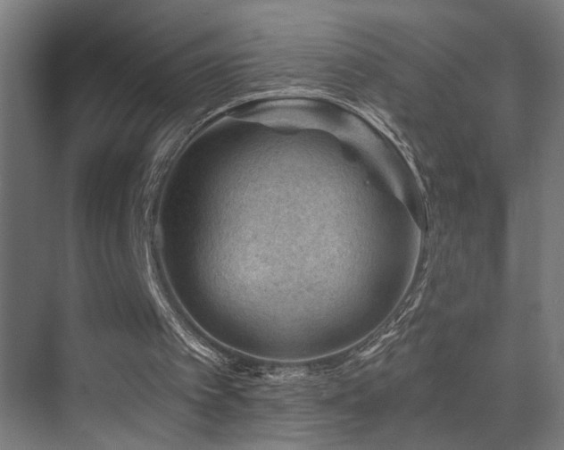 X0000071340097200606231148