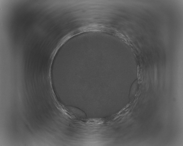 X0000071340099200606231148