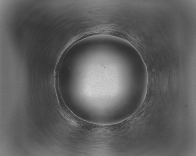 X0000071340100200606231148