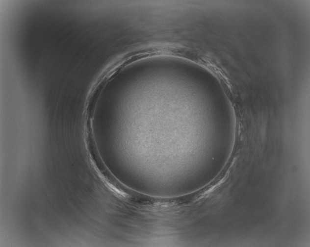 X0000071340101200606231148