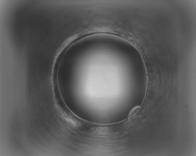 X0000071340104200606231148