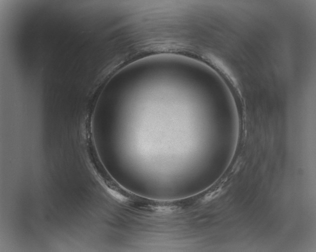 X0000071340105200606231148