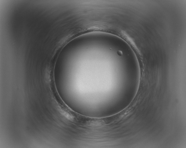 X0000071340106200606231148