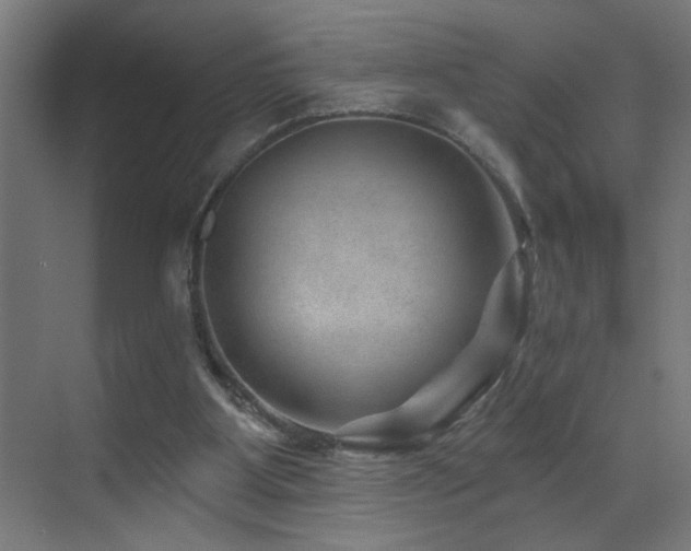 X0000071340107200606231148