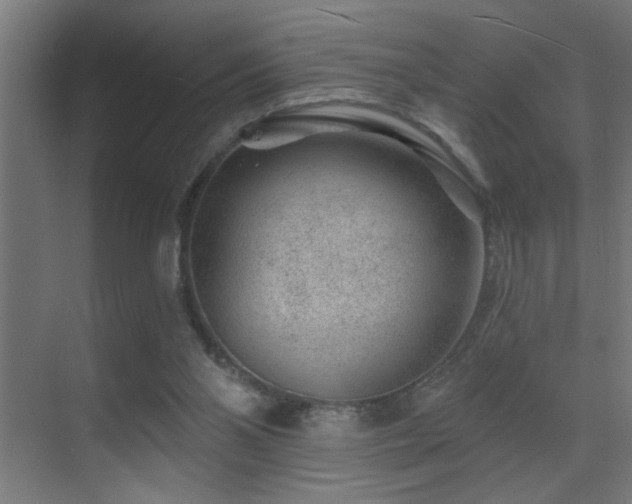 X0000071340110200606231148