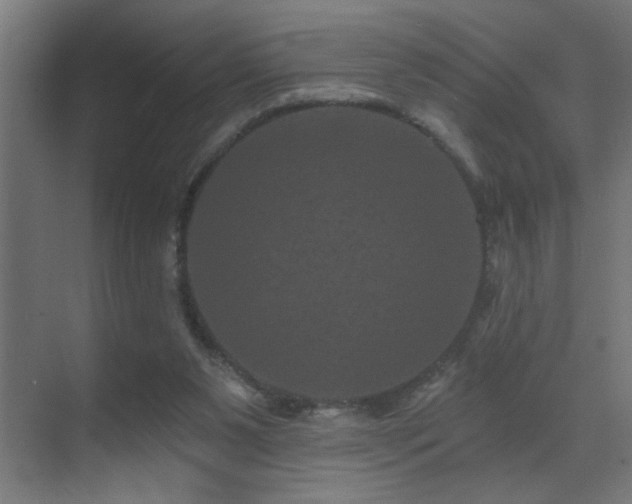 X0000071340111200606231148