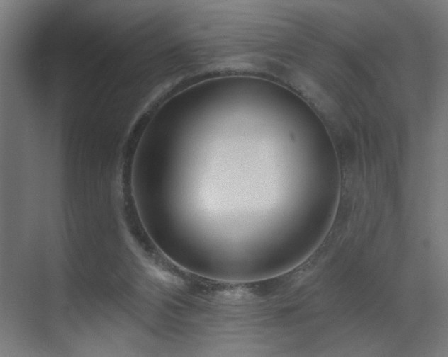 X0000071340112200606231148