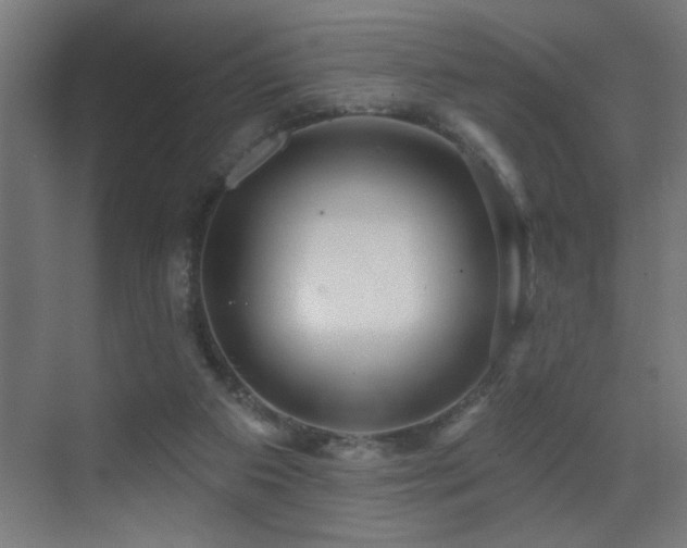 X0000071340113200606231148