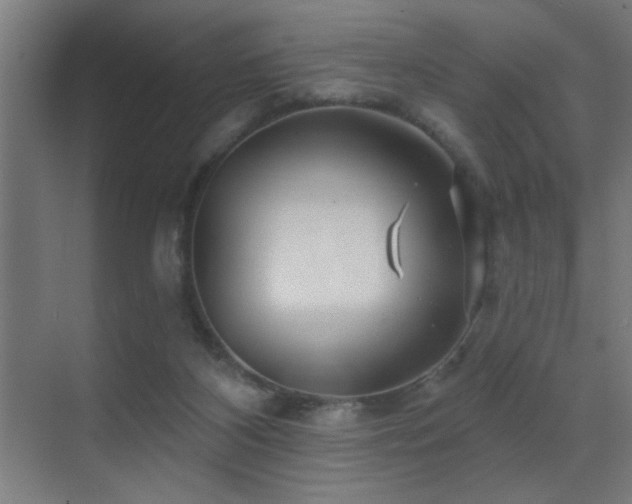 X0000071340116200606231148