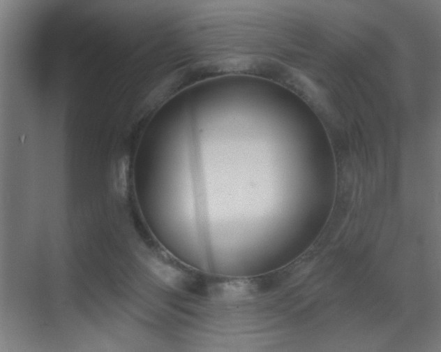 X0000071340118200606231148