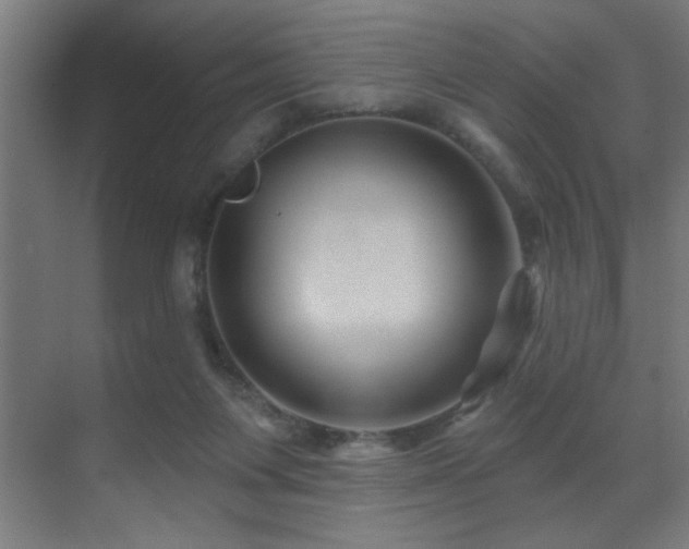 X0000071340119200606231148