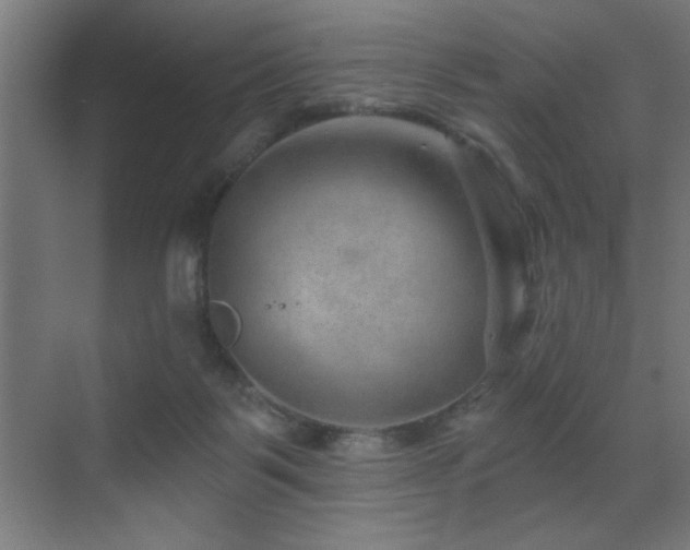 X0000071340123200606231148